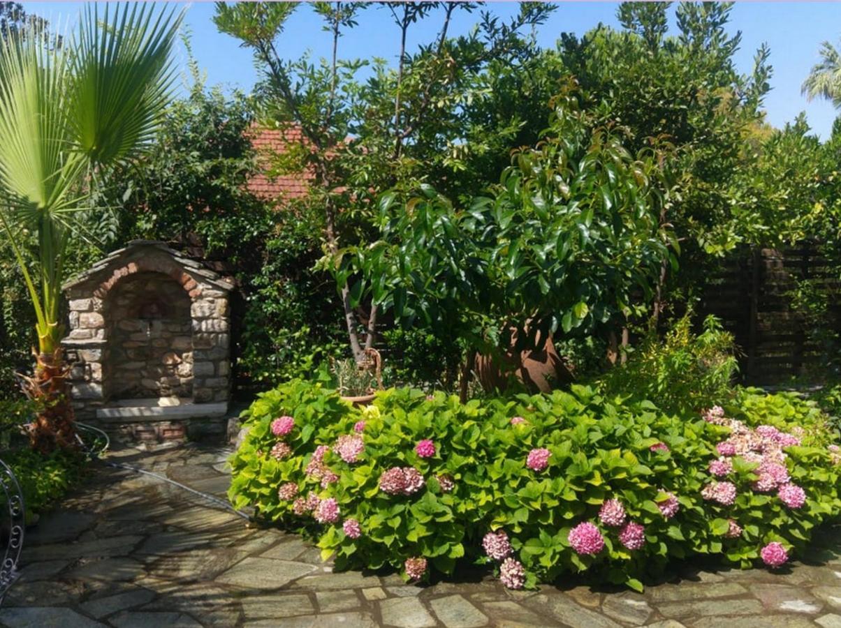 Archontiko Tsaknaki Manolia Ano Lekhonia Exterior foto