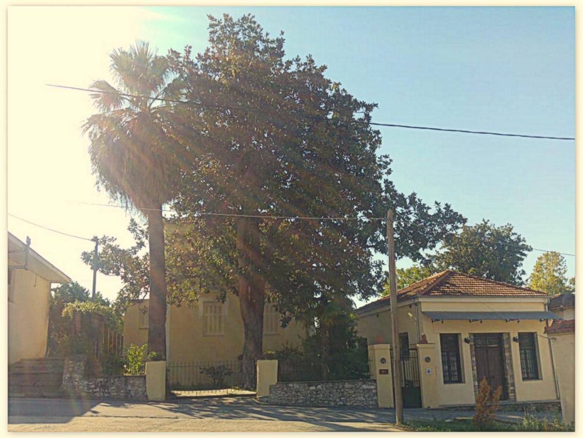 Archontiko Tsaknaki Manolia Ano Lekhonia Exterior foto