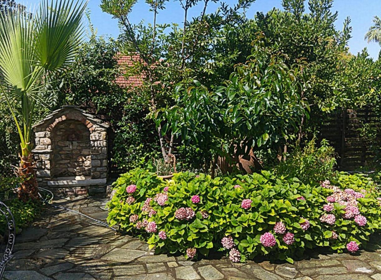 Archontiko Tsaknaki Manolia Ano Lekhonia Exterior foto